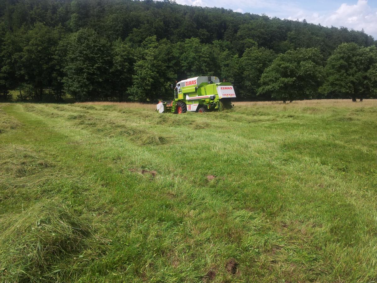 Gras dreschen | Landwirtschaftliches Lohnunternehmen H. Fischer